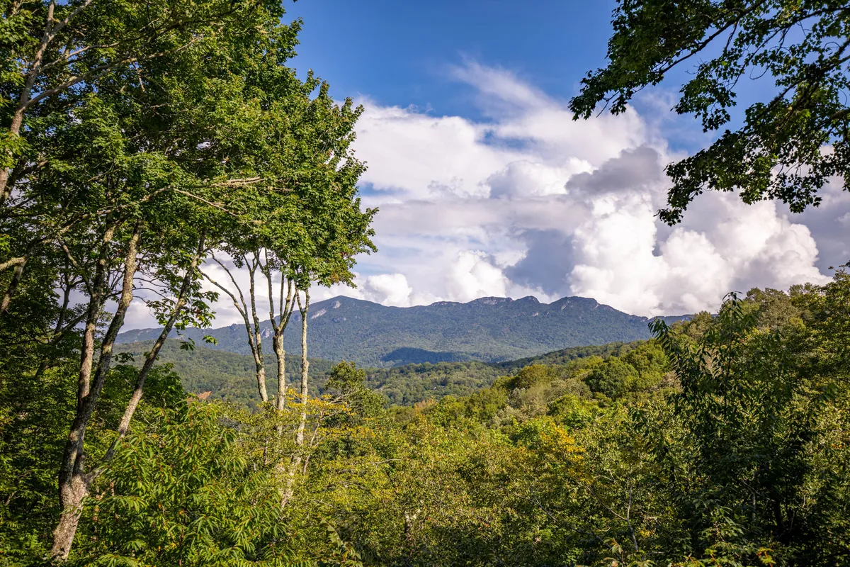 A breathtaking mountain view featuring rolling hills, clouds drifting overhead, and trees in the foreground. The setting evokes the natural beauty and exploration opportunities that surround Sugar Mountain, inviting visitors to hike, spot wildlife, and take in scenic vistas.